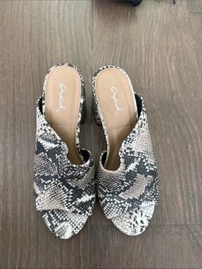 Qupid Snake-Print Open-Toe Slide Mules in Black & Cream